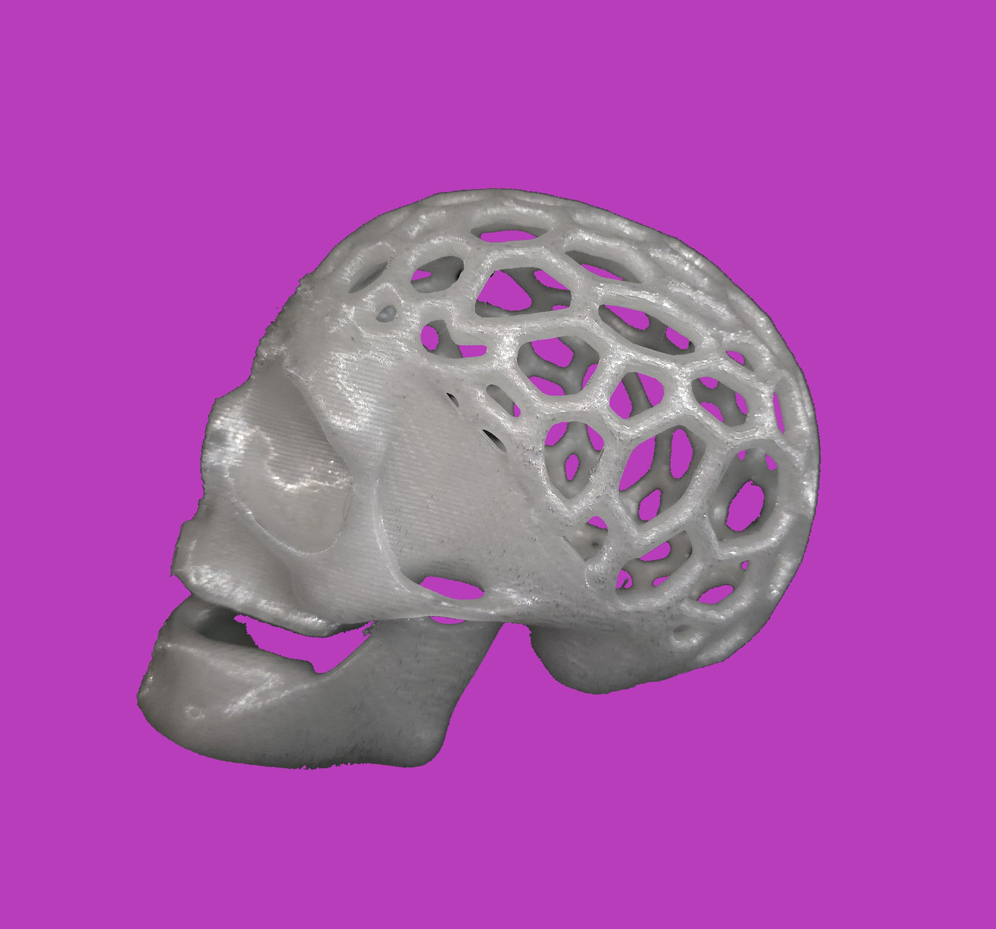 Skull with holes
