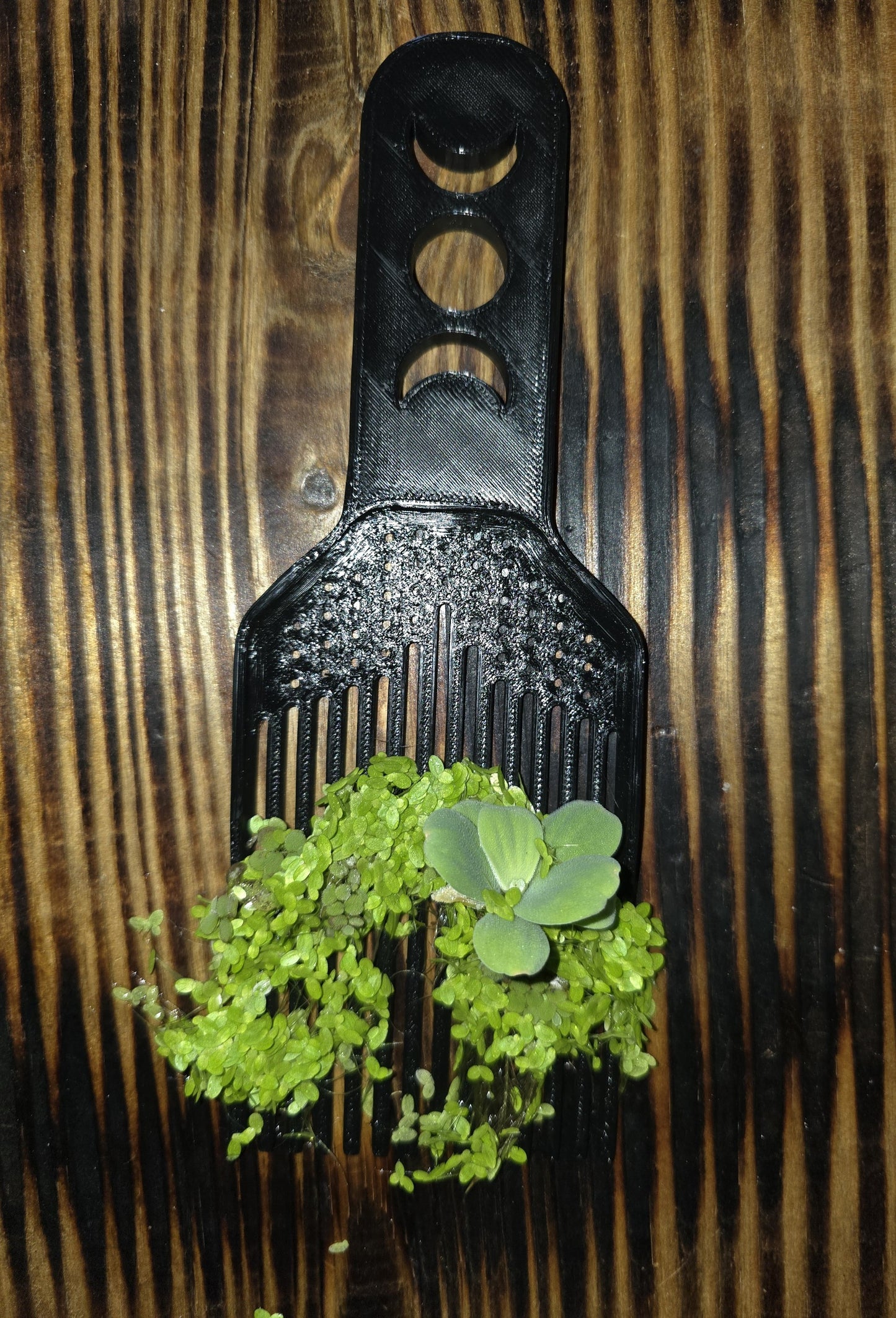 duckweed removal rake