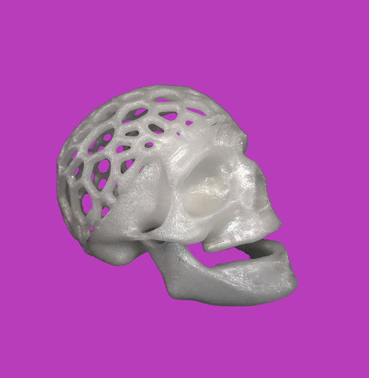 Skull with holes